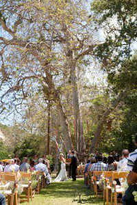 OjaiWedding_Trees_Ribbons